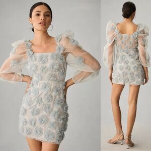 LoveShackFancy Wells Mini Dress in Glacier Blue Organza With Floral Appliqués‎